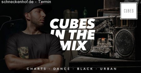 CUBES in the Mix pres. DJ Master HP Werbeplakat