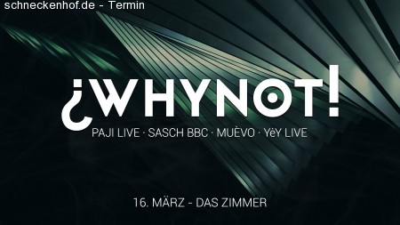¿WhyNot! presents PAJI live Werbeplakat