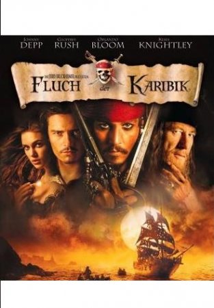Piraten Party Werbeplakat