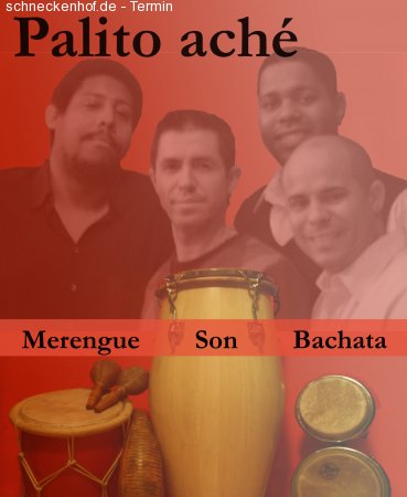 palito ache Werbeplakat
