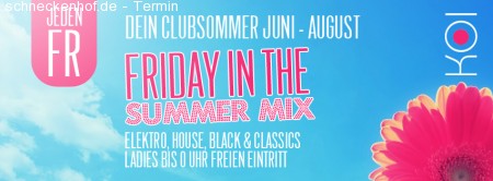 Friday in the Summer Mix Werbeplakat