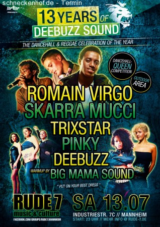 13 Years of DeeBuzz Sound Werbeplakat