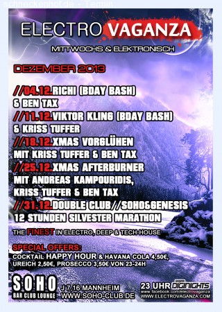 Electrovaganza - Lenhardt Birthday Flash Werbeplakat