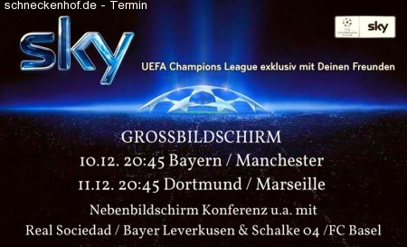 Champions League auf GROSSBILDSCHIRM Werbeplakat