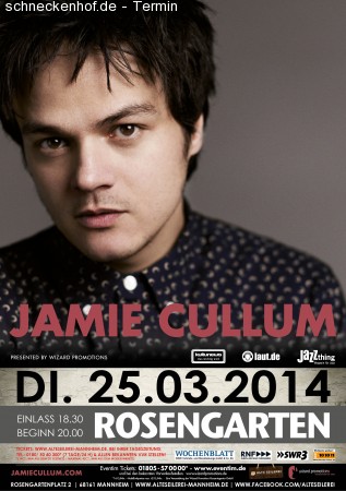 Jamie Cullum Werbeplakat