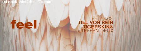 Feel with Till von Sein, Tigerskin Werbeplakat