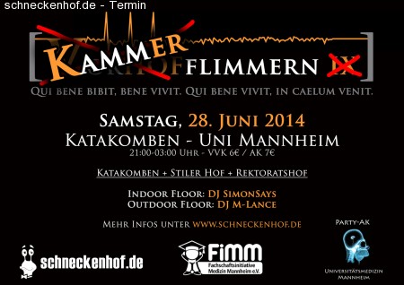 V̶o̶r̶h̶o̶f̶ KAMMERflimmern I̶X̶ Werbeplakat