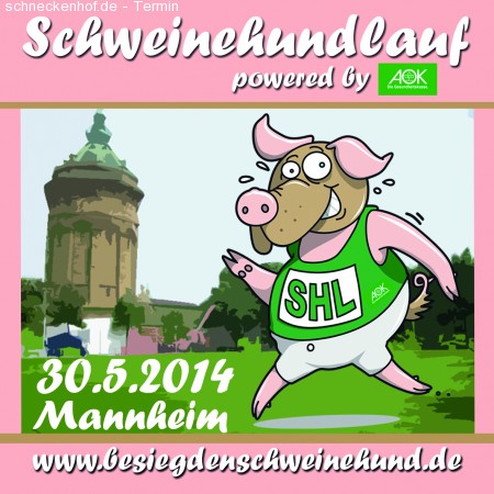 Schweinehundlauf Werbeplakat