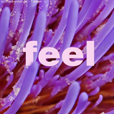 feel meets mono Werbeplakat