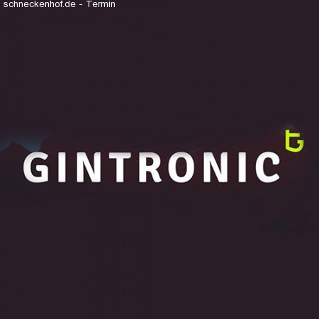 Gintronic Werbeplakat