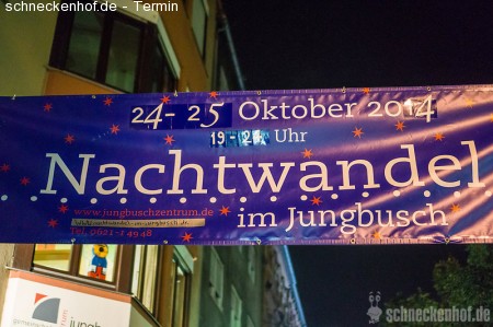 Nachtwandel 2014 Werbeplakat