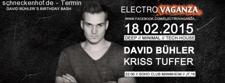 Electrovaganza • David Bühler in the Mix Werbeplakat