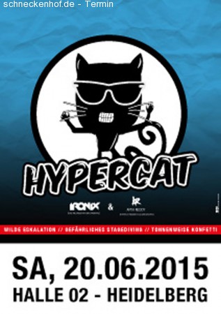 Hypercat Werbeplakat