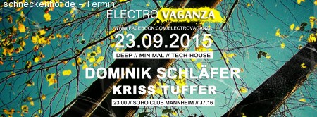 Electrovaganza • Dominik Schläfer Werbeplakat