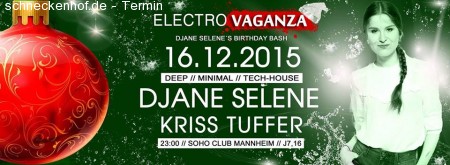 Electrovaganza ♥ Djane Selene Werbeplakat