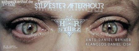 Silvester Afterhour Werbeplakat